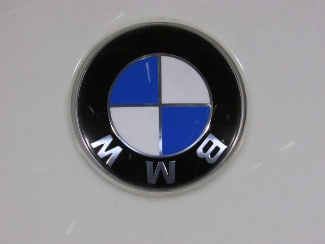 41617140729 COFANO ANTERIORE BMW 318D E91 2.0 90KW 5P D 6M (2006) RICAMBIO USATO LEGGERMENTE AMMACCATO (VEDI FOTO) 